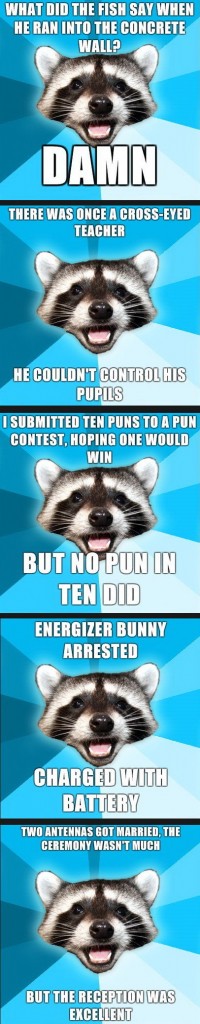 Bad Pun Raccoon Meme